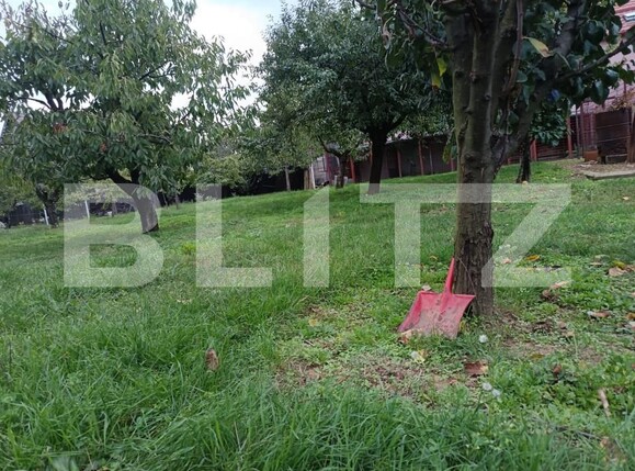 Teren de vânzare Paulestii Noi - 162713TV | BLITZ Ploieşti | Poza5