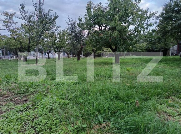 Teren de vânzare Paulestii Noi - 162713TV | BLITZ Ploieşti | Poza4