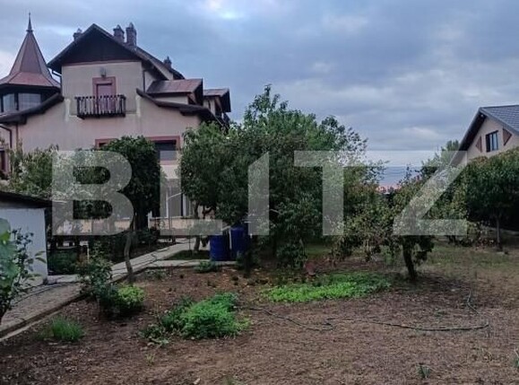 Teren de vânzare Paulestii Noi - 162713TV | BLITZ Ploieşti | Poza6