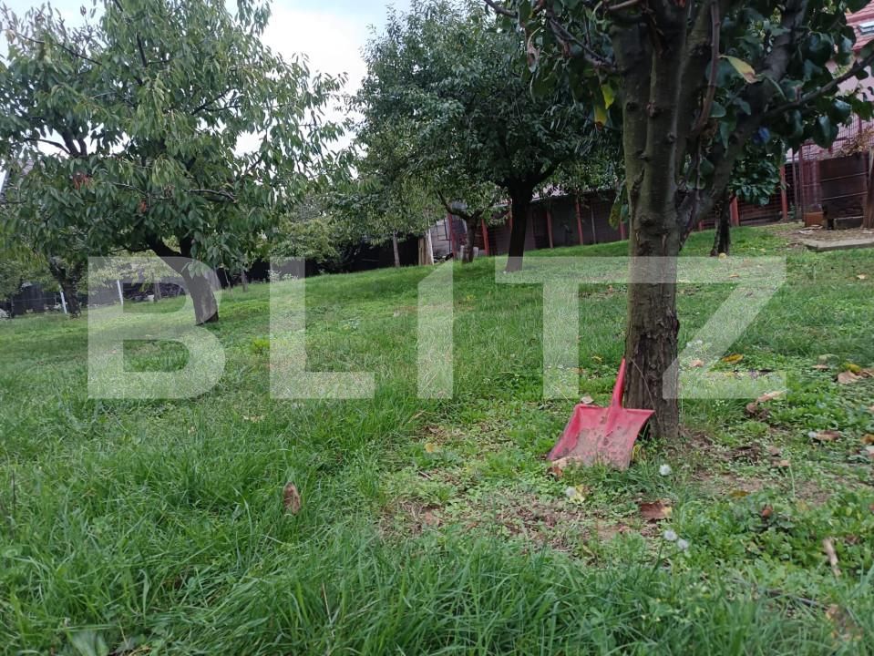 Teren de vânzare Paulestii Noi - 162713TV | BLITZ Ploieşti | Poza5