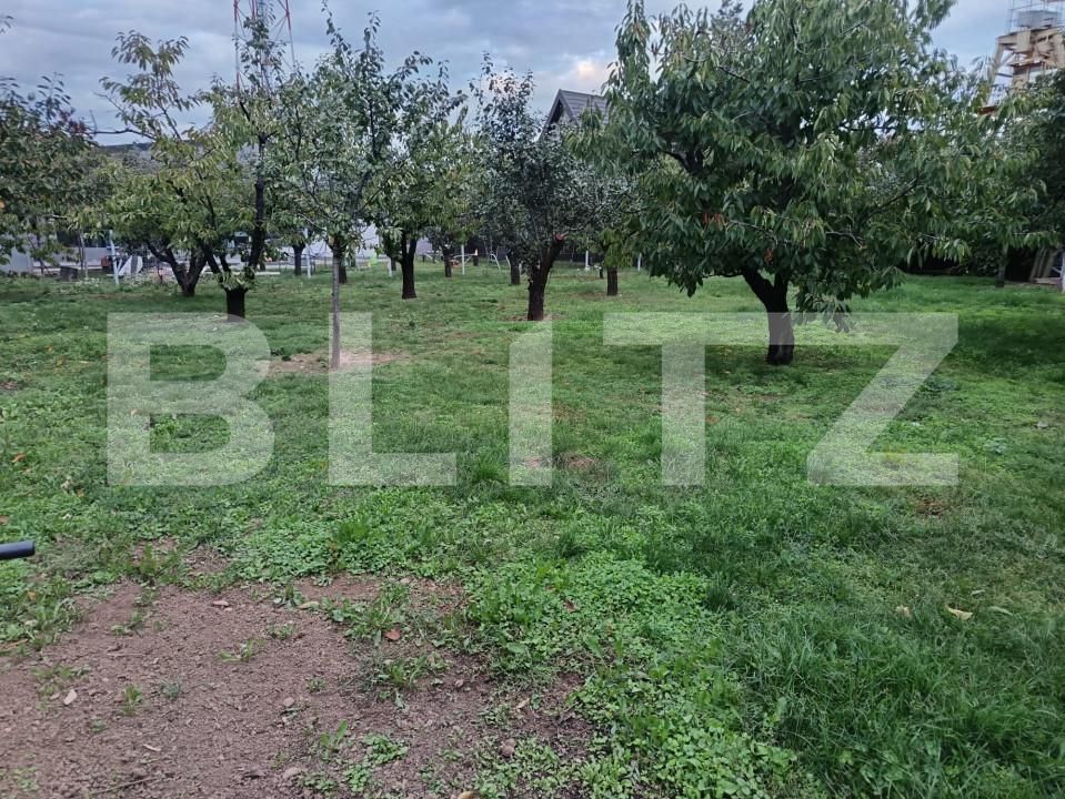 Teren de vânzare Paulestii Noi - 162713TV | BLITZ Ploieşti | Poza2