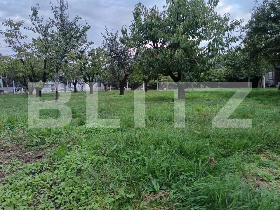Teren de vânzare Paulestii Noi - 162713TV | BLITZ Ploieşti | Poza4