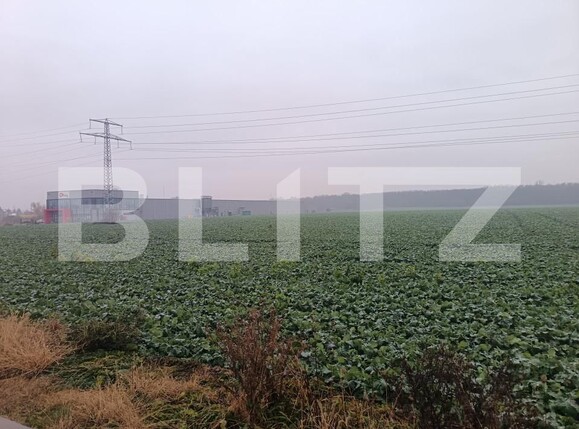 Teren de vânzare Paulesti - 162723TV | BLITZ Ploieşti | Poza4