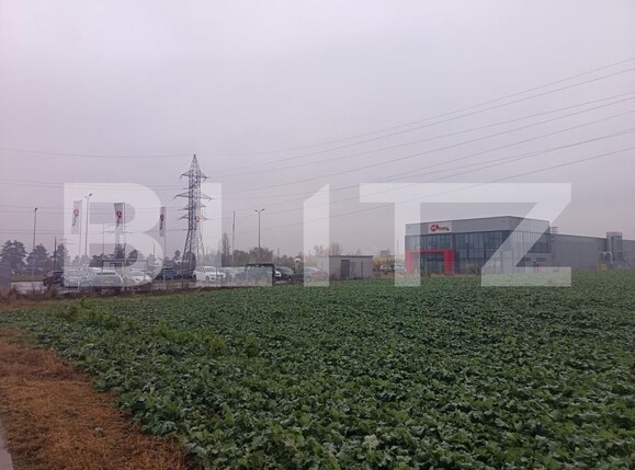 Teren de vânzare Paulesti - 162723TV | BLITZ Ploieşti | Poza1