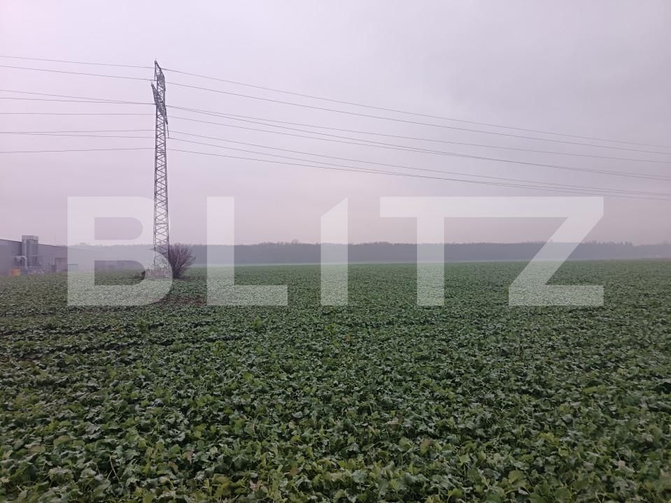 Teren de vânzare Paulesti - 162723TV | BLITZ Ploieşti | Poza2