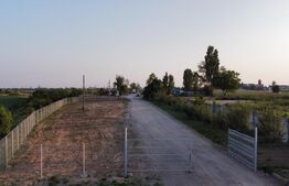 Teren 15851 mp , zona Bucov-Pleasa , Hala si spatiu birouri