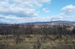 Teren Extravilan Valenii de Munte 11931 mp