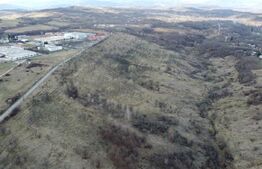 Teren Extravilan Valenii de Munte 11931 mp