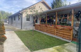 Casa individuala, 3 camere, teren 993 mp, Plopu. 