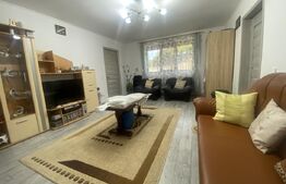 Casa individuala, 3 camere, teren 993 mp, Plopu. 