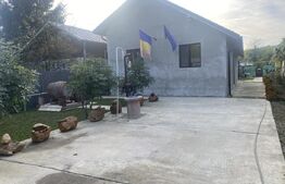 Casa individuala, 3 camere, teren 993 mp, Plopu. 