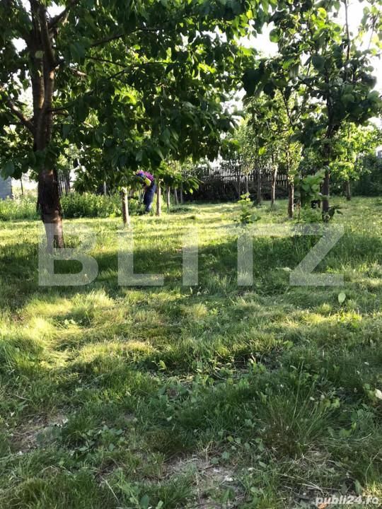 Teren de vânzare Brazii de Sus - 163381TV | BLITZ Ploieşti | Poza2