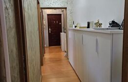 Apartament modern 2 camere , decomandat , Plopeni Cartier DIana 