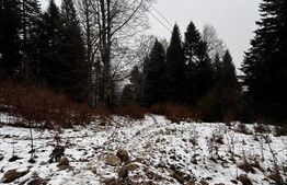 Teren unic, exclusivist  4000 mp, in inima muntilor, Sinaia