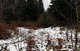 Teren unic, exclusivist  4000 mp, in inima muntilor, Sinaia