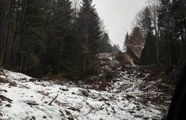 Teren unic, exclusivist  4000 mp, in inima muntilor, Sinaia