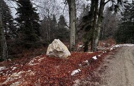 Teren unic, exclusivist  4000 mp, in inima muntilor, Sinaia