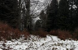 Teren unic, exclusivist  4000 mp, in inima muntilor, Sinaia