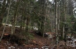 Teren unic, exclusivist  4000 mp, in inima muntilor, Sinaia