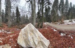 Teren unic, exclusivist  4000 mp, in inima muntilor, Sinaia