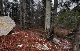 Teren unic, exclusivist  4000 mp, in inima muntilor, Sinaia