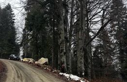 Teren unic, exclusivist  4000 mp, in inima muntilor, Sinaia