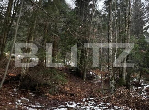 Teren de vânzare Sinaia - 163615TV | BLITZ Ploieşti | Poza7