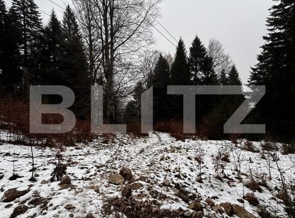 Teren de vânzare Sinaia - 163615TV | BLITZ Ploieşti | Poza4