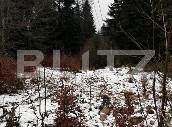 Teren de vânzare Sinaia - 163615TV | BLITZ Ploieşti | Poza10