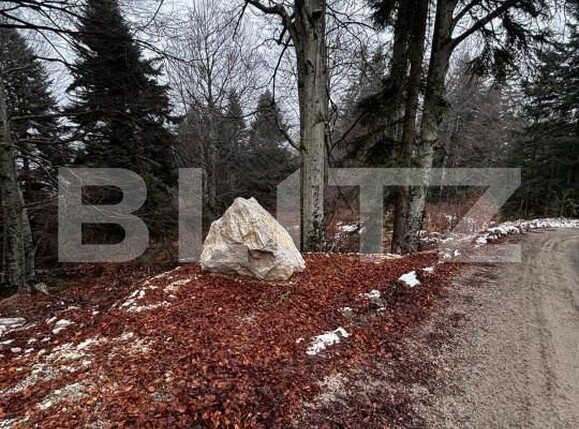 Teren de vânzare Sinaia - 163615TV | BLITZ Ploieşti | Poza15