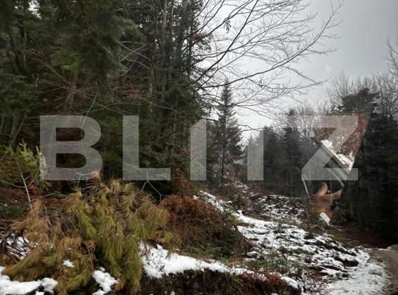 Teren de vânzare Sinaia - 163615TV | BLITZ Ploieşti | Poza9