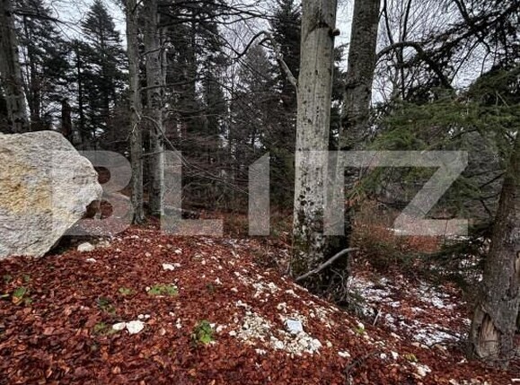 Teren de vânzare Sinaia - 163615TV | BLITZ Ploieşti | Poza14