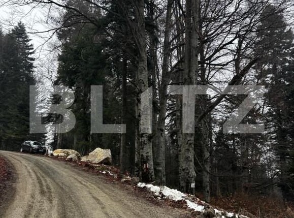 Teren de vânzare Sinaia - 163615TV | BLITZ Ploieşti | Poza13