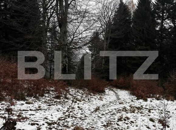 Teren de vânzare Sinaia - 163615TV | BLITZ Ploieşti | Poza3