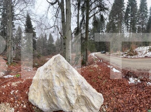 Teren de vânzare Sinaia - 163615TV | BLITZ Ploieşti | Poza5