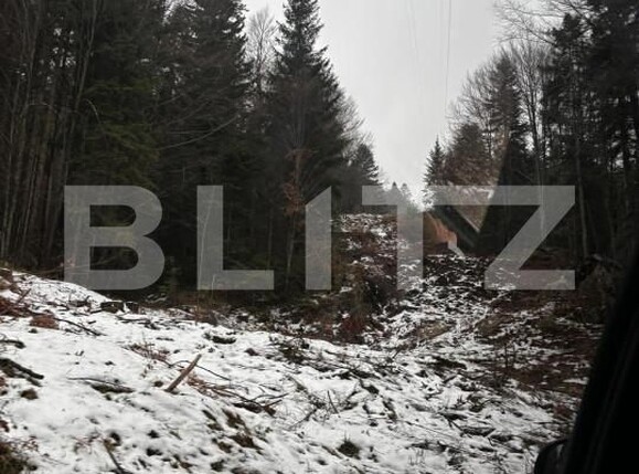 Teren de vânzare Sinaia - 163615TV | BLITZ Ploieşti | Poza8