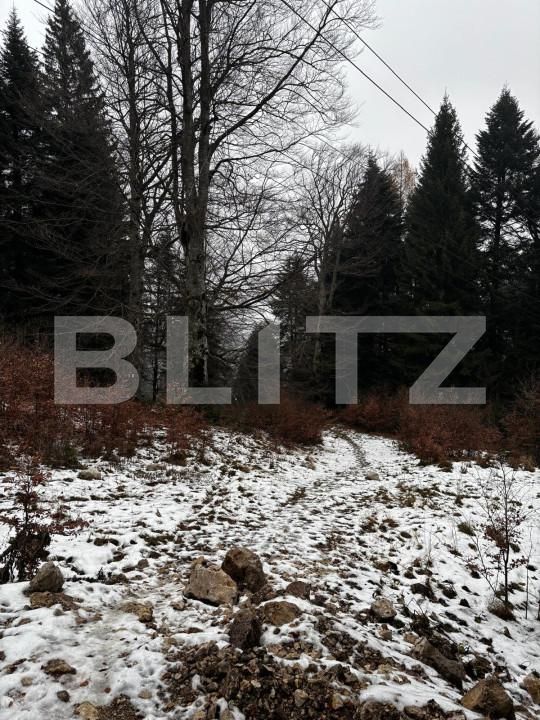 Teren de vânzare Sinaia - 163615TV | BLITZ Ploieşti | Poza3