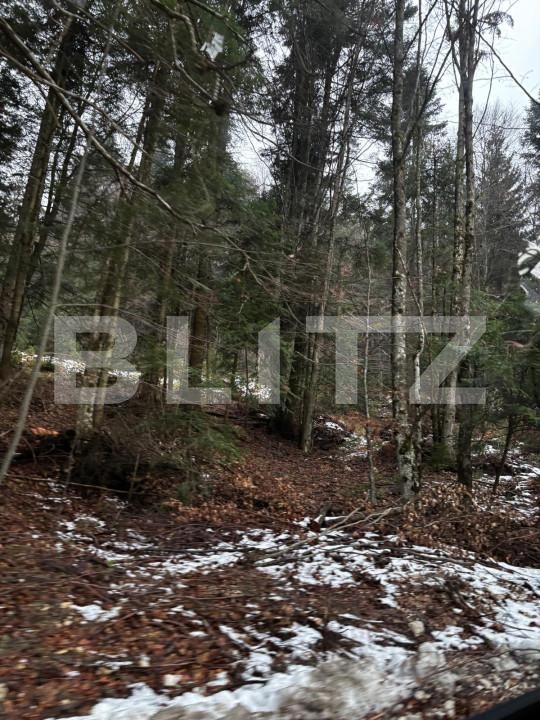 Teren de vânzare Sinaia - 163615TV | BLITZ Ploieşti | Poza7