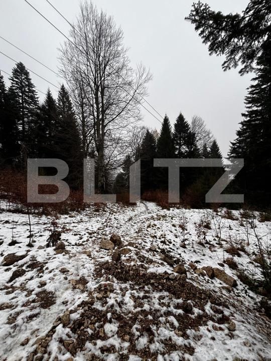 Teren de vânzare Sinaia - 163615TV | BLITZ Ploieşti | Poza4