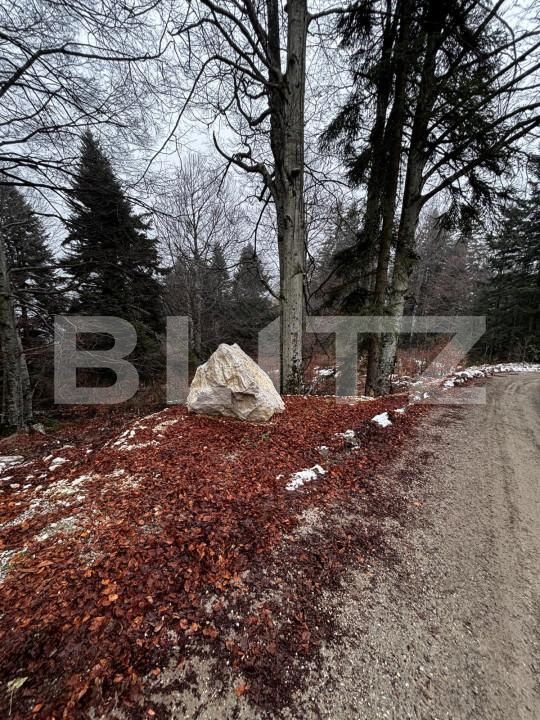Teren de vânzare Sinaia - 163615TV | BLITZ Ploieşti | Poza15