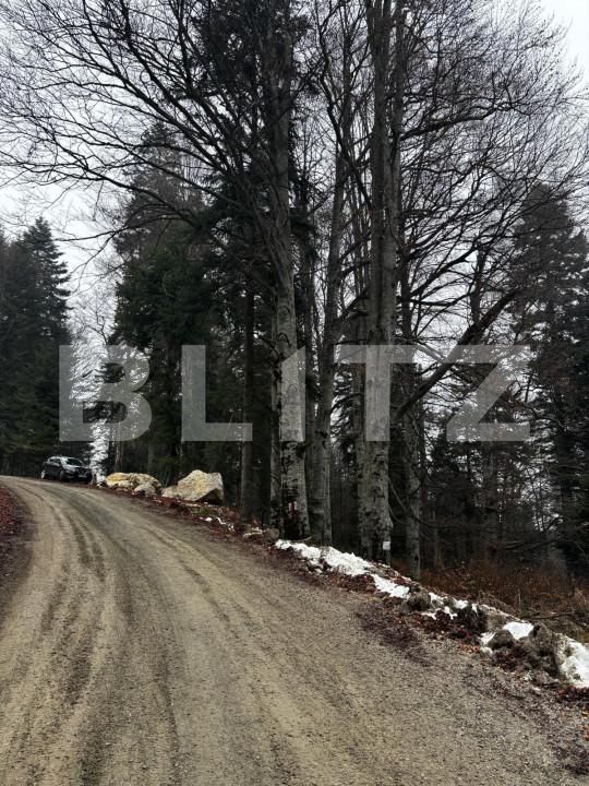 Teren de vânzare Sinaia - 163615TV | BLITZ Ploieşti | Poza13