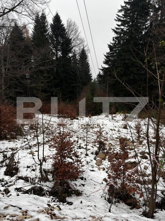 Teren de vânzare Sinaia - 163615TV | BLITZ Ploieşti | Poza10