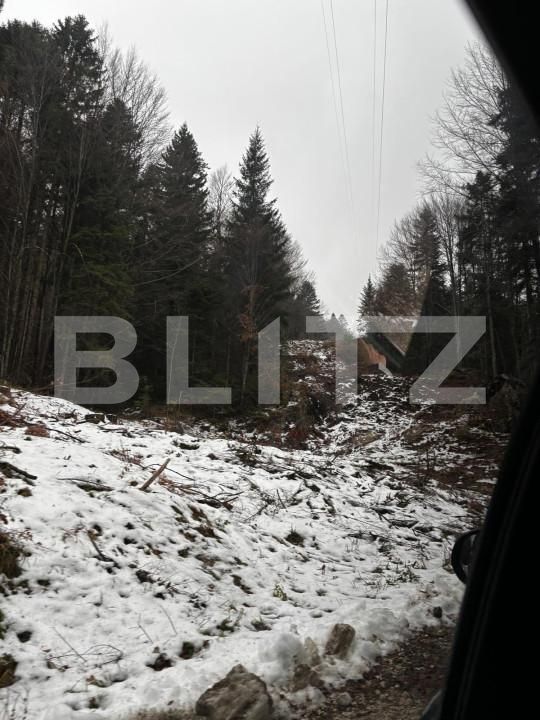 Teren de vânzare Sinaia - 163615TV | BLITZ Ploieşti | Poza8