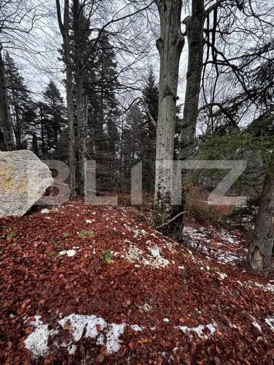 Teren de vânzare Sinaia - 163615TV | BLITZ Ploieşti | Poza14
