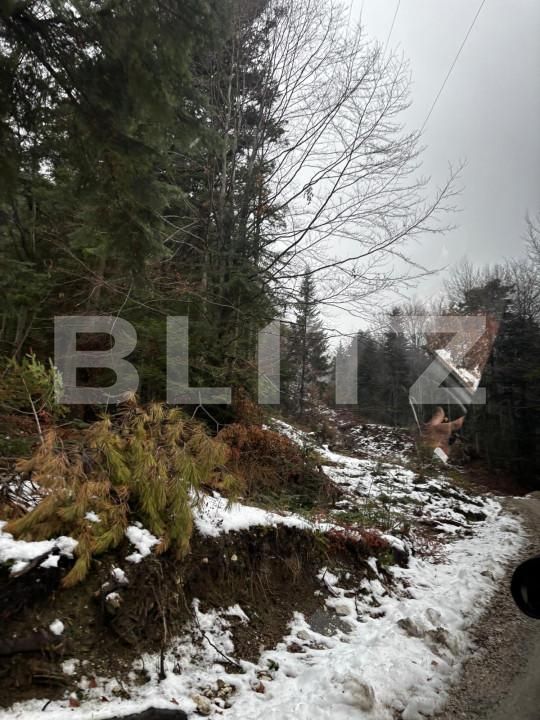 Teren de vânzare Sinaia - 163615TV | BLITZ Ploieşti | Poza9