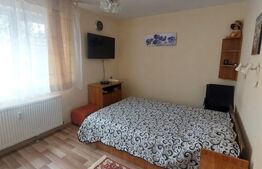 Apartament de vanzare, 2 camere, 46 mp, zona Republicii, C-tin Brezeanu