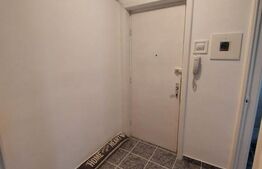 Apartament de vanzare, 2 camere, 46 mp, zona Republicii, C-tin Brezeanu