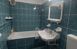 Apartament de vanzare, 2 camere, 46 mp, zona Republicii, C-tin Brezeanu