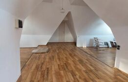 Vila, 10 camere, 580 mp, zona Cartier Albert