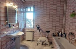 Vila, 10 camere, 580 mp, zona Cartier Albert